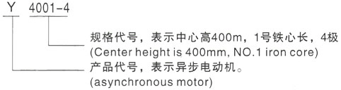 西安泰富西玛Y系列(H355-1000)高压遂川三相异步电机型号说明